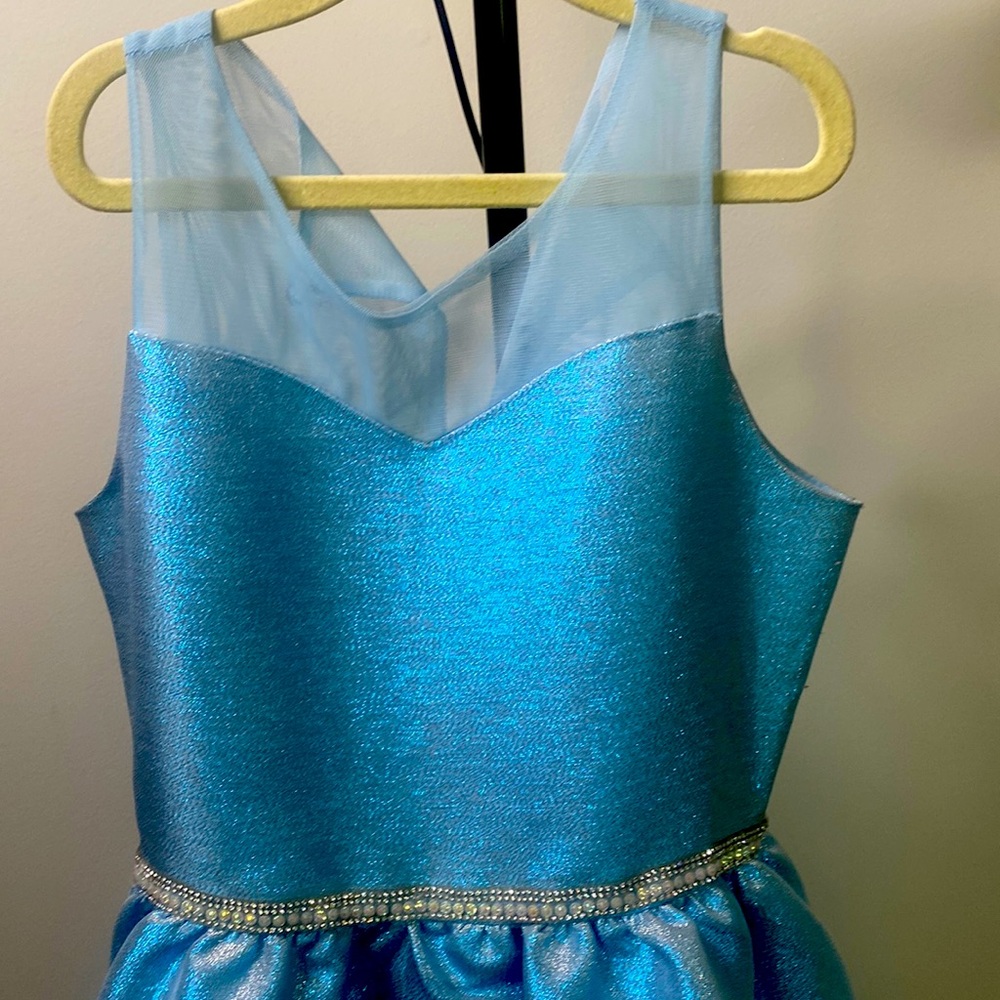 Frozen, Princess, Birthday parties, This is the right dress… size 10/12
